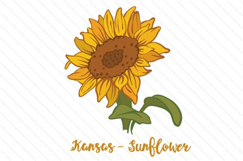 Download State Flower: Kansas Sunflower SVG File - Free SVG Cut Files for Cricut