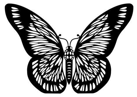 butterfly cut out black and white - Clip Art Library