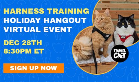 Cat Harness Training Holiday Hangout & Mentoring Virtual Event - Dec.