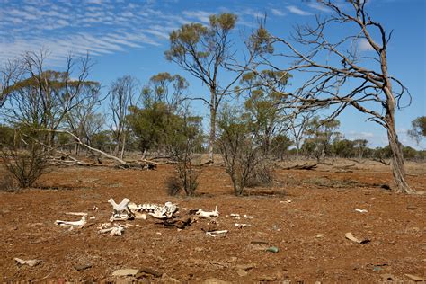 Australia's worst drought in recent memory, explained