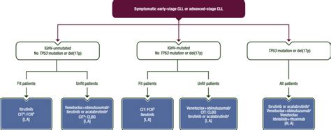 Chronic lymphocytic leukaemia: ESMO Clinical Practice Guidelines for diagnosis, treatment and ...