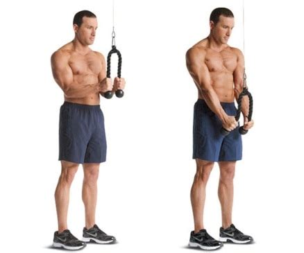 4 Compound Exercises That Will Build Big Biceps