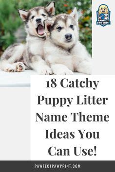 18 Puppy Litter Name Theme Ideas! | Puppy litter, Puppies, Halloween puppy