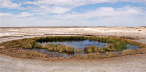 Water in, water out: assessing the future of the Great Artesian Basin