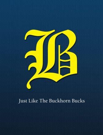 Buckhorn High School Logo