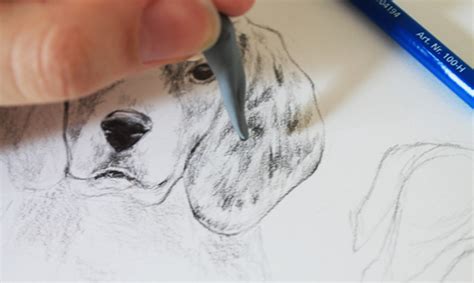 Drawing Realistic Animals: How to Draw a Dog | Dog drawing simple, How ...