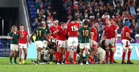 The Wales v South Africa media reaction: 'It was like watching a bunch ...