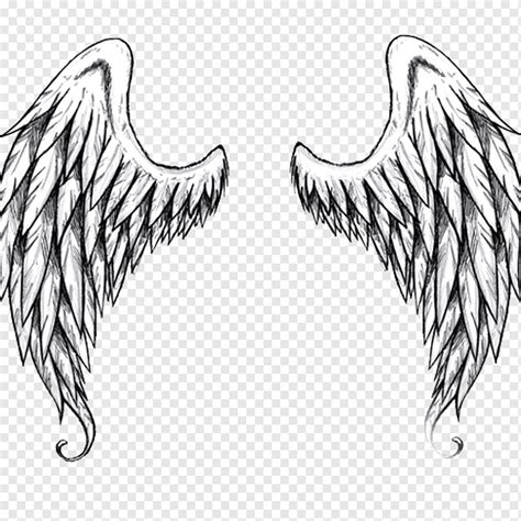 Pencil Drawings Of Angels Wings