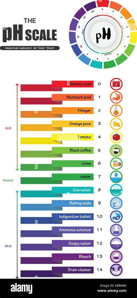 The pH scale Universal Indicator pH Color Chart diagram acidic Stock ...