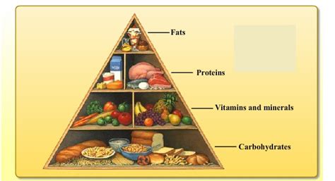 Components of Food | Nutrients, Fats & more Class 6 topics@Byjus