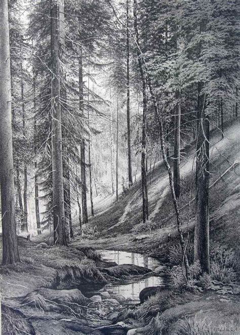 Forest Pencil Sketch Forest Of Trees Drawing - butlerseedgroup