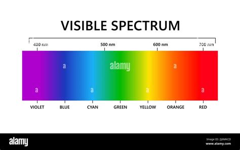 Visible light spectrum. Electromagnetic visible color spectrum for human eye. Vector gradient ...