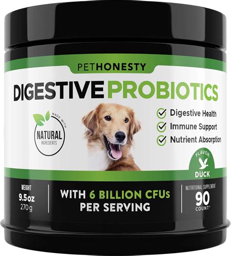 The 10 Best Dog Probiotics of 2021 – Dog Guide Reviews