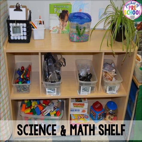 Classroom Reveal and a FREEBIE | Science center preschool, Science area ...