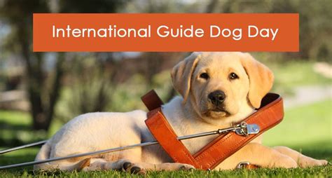 International Guide Dog Day