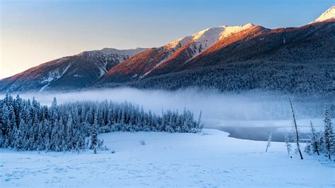 Mountain Covered By Snow With Pine Trees 4K 1 HD Wallpapers | HD Wallpapers | ID #33139