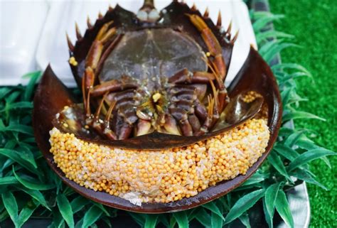 Can You Eat Horseshoe Crab and How Does It Taste?