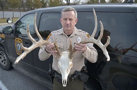 Hunter finds dead buck with massive 12-point antlers in Lancaster County | Local News ...