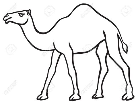 Camel Drawing Outline at PaintingValley.com | Explore collection of ...