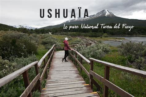 Ushuaïa : Une journée dans le parc national Tierra del Fuego | Trip in Wild