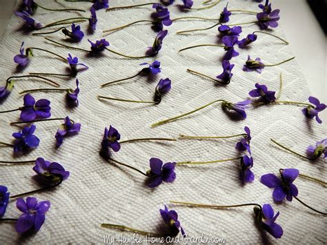 How To Make Lovely, Delicate Candy Violet Decorations - My Humble Home ...