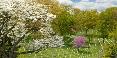 Arlington National Cemetery Facts and History