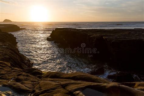 Muriwai Beach stock image. Image of landscape, footsteps - 63568705