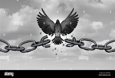 Freedom Metaphor: Breaking Chains and Soaring Wings