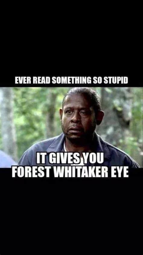 Pin by Michael Naples on Meme Rebuttals | Forest whitaker, Haha funny, Humor