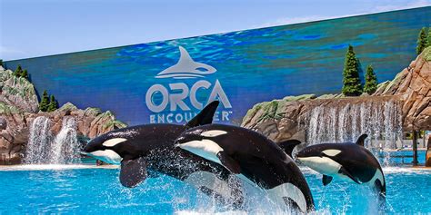 Guide d'exploration de SeaWorld San Diego | Visit California