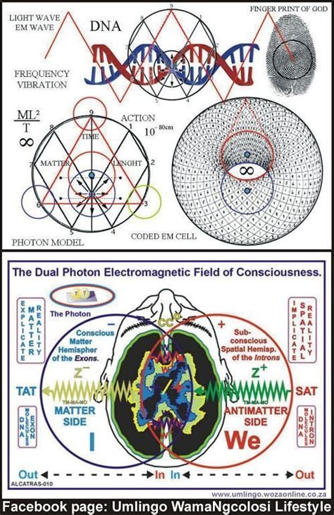 Sacred Science, Spirit Science, Science And Nature, Rose Croix, Sacred ...