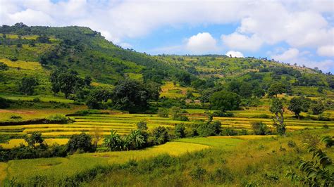 Araku Valley - History, Things to Do, Location, Best Time to Visit ...