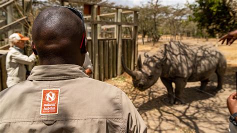 Advancing Wildlife Conservation at Kenya’s Ol Pejeta: Gundi’s ...