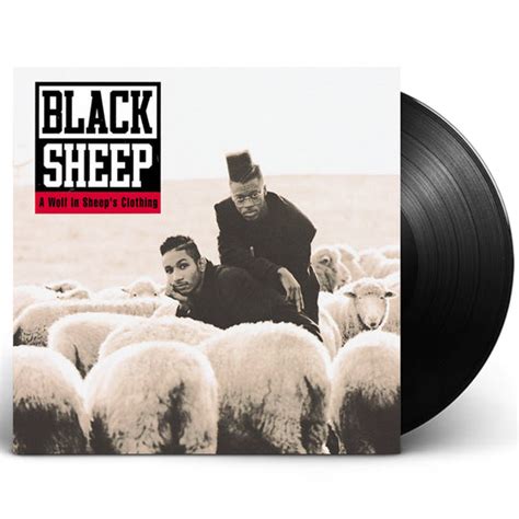 Black Sheep