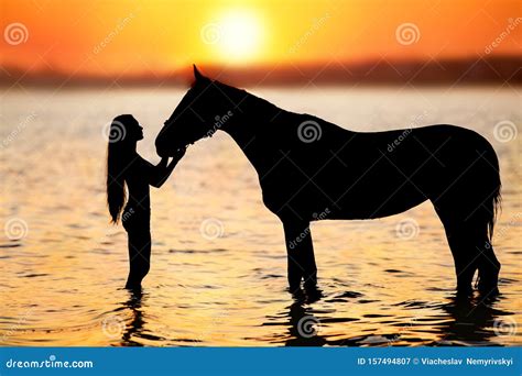 Horse and girl silhouette stock image. Image of silhouette - 157494807