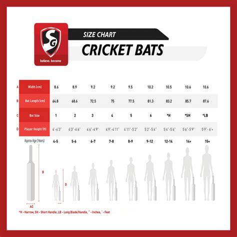 SG CRICKET BAT SIZE CHART – Sports Hub