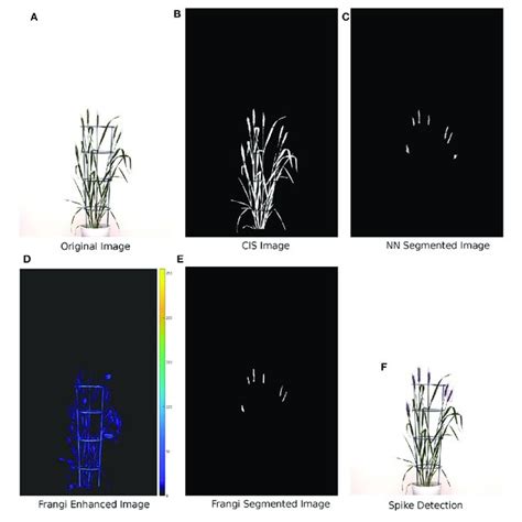 | Workflow of the proposed spike detection algorithm using image ...