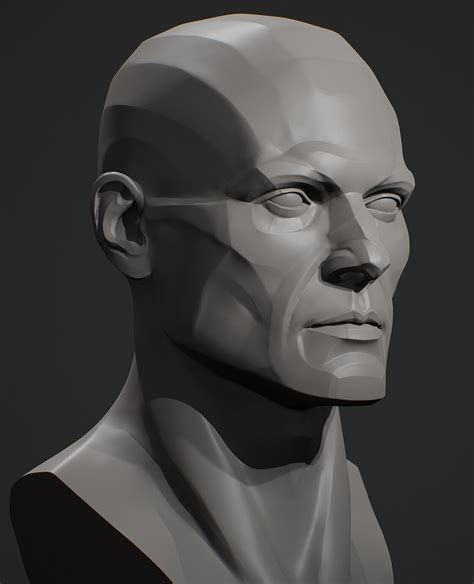 ArtStation - Head Planes Male, Viktor Germogenov Facial Anatomy, Head ...