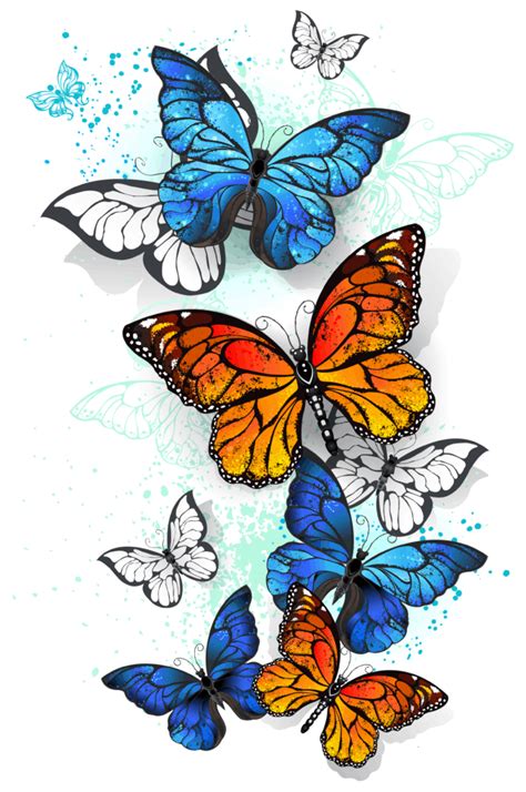 Butterfly Symbolism And Meaning: What Do Butterflies Symbolize? (2023)