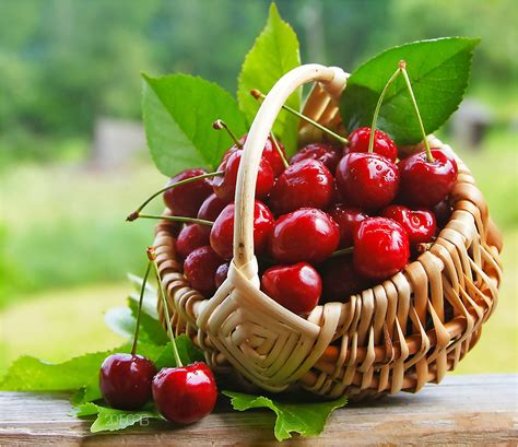 testclod: Panier de cerises