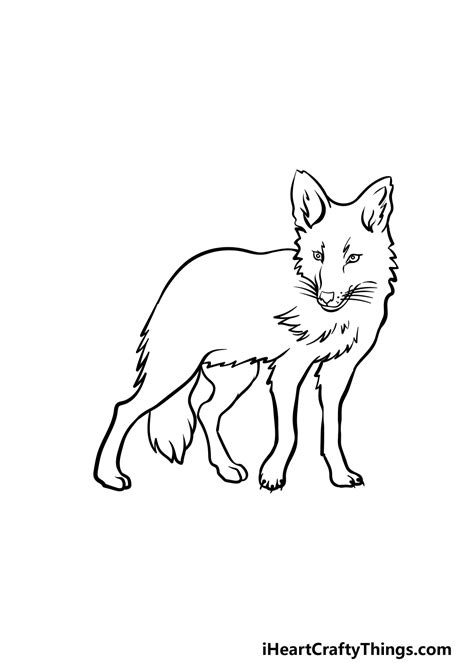 Coyote Drawing - How To Draw A Coyote Step By Step