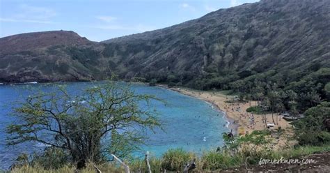 Hanauma Bay Snorkeling Tips You Should Know | Oahu travel, Hanauma bay, Hawaii travel