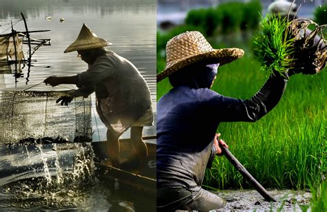 DA pushes for climate-resilient agri-fishery sector | Official Portal of the Department of ...