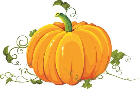 Pumpkin PNG image