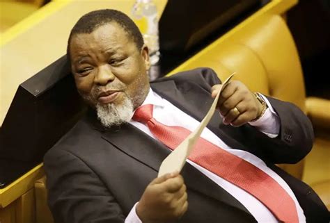 Minister Gwede Mantashe and his wife Nolwandle test positive for COVID ...