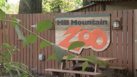 Mill Mountain Zoo Announces New Operations / Development Directors ...