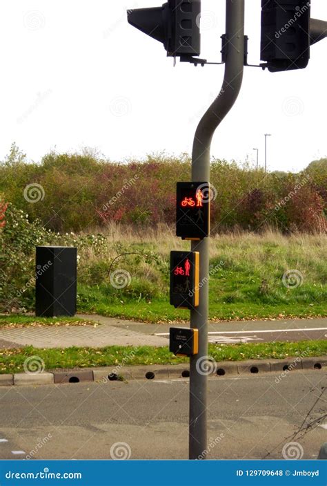 Lights on a Pedestrian/Cyclist Crossing Toucan Crossing, United Kingdom Stock Photo - Image of ...