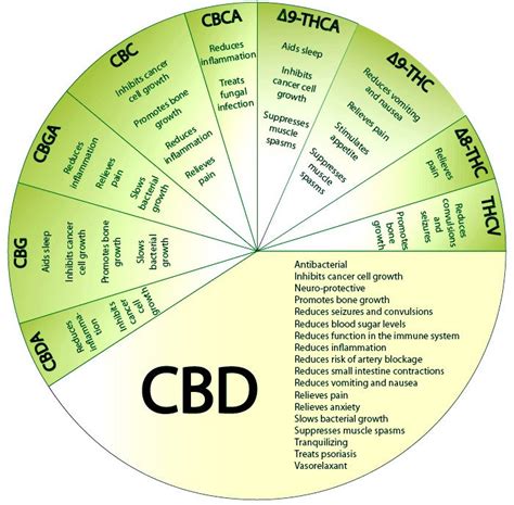 Cannabinoids Chart