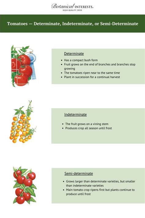 Determinate, indeterminate, and semi-determinate tomato varieties. What's the difference? This ...