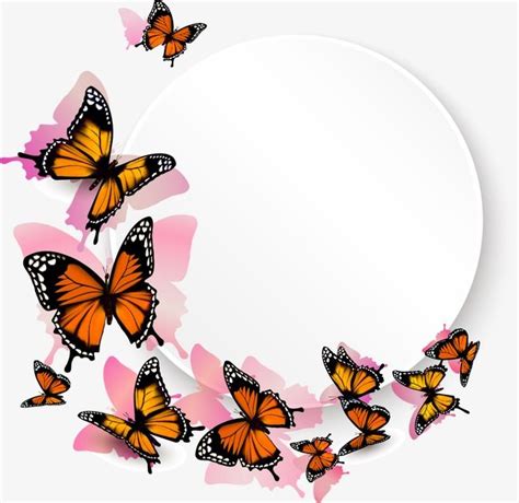 Butterfly Border PNG Images, Box, Butterfly Vector, Border Vector PNG ...